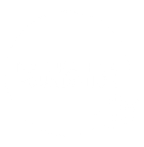 Naturalena Brands Foundation Limited logo